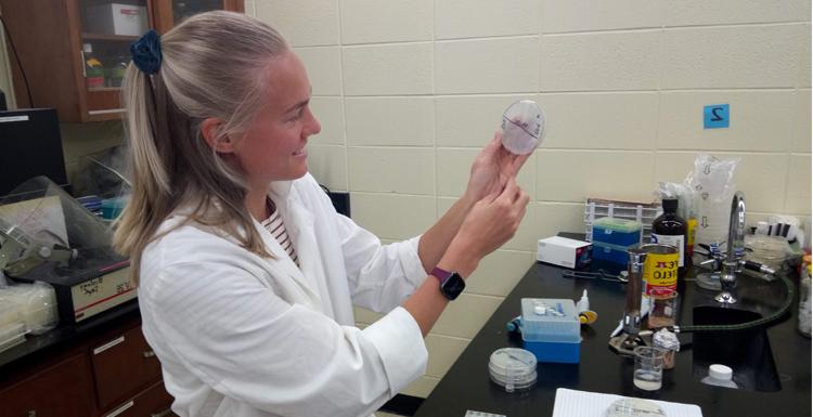 艾米丽·伯格在南方的实验室里, 获得了每年为科学创新和潜在社会影响颁发的12项zimmo研究影响计划资助之一. Berge在5月份获得了环境毒理学硕士学位，她将利用4000美元的奖金对她在论文中描述的多芳烃降解细菌进行转录组学分析.